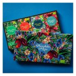 Confiserie chocolat - nature & d�couvertes : coffret chocolat noir bio et �quitable