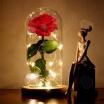 Confo rose ternelle sous cloche cadeau coffret en verre la belle et la bte lumineux led socle bois ...