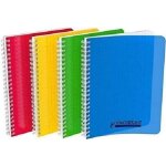 Conquerant cahier  spirales polypro 17x22 100p grands carreaux sys 90g