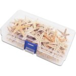 Coquilles de mer pour d�coration naturelle �toiles - coquille plage artisanat naturel �toile de mer diy ...