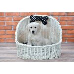 Corbeille - niche - panier ovale - osier blanc - coussin lavable - pour chats et chiens