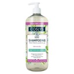 Coslys famille aloe vera bio 1l