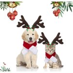 Costume pour animaux - non spcifi - nol - serre - tte en bois de renne - charpe de nol - rouge