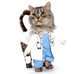 Costume pour chat et petite chien docteur deguisement vetement animal