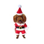 Costume pour chien de no�l d�guisement petit chien