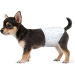 Couches jetables pour chien m�le - estampille - xs - 20 pi�ces - anti - fuites - super absorbantes