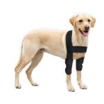 Coudi�re pour chien - coussinets de protection pour coude et �paules canins - hygrome du coude et de ...