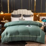 Couette 2 personnes 220x240couette luxueuse en plumes doie et duvet couette de lit king size 15% duvet ...
