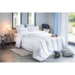 Couette - 220 x 240 cm - tempérée - 100% polyester - 2 personnes - blanc Couette - 220 x 240 cm - tempérée - 100% polyester - 2 personnes - blanc