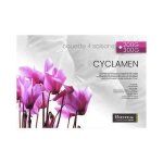 Couette - biotex - cyclamen - 260x240 cm - 100% polyester - 4 saisons