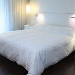 Couette - castex couettes naturelles - king size 280x240 cm - duvet de canard - blanc