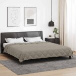Couette d�t� - vidaxl - simple - 220 x 240 cm - microfibre gris clair - respirante