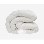 Dodo - couette tradition temperee - 50% duvet de canard - 200 x 200 cm