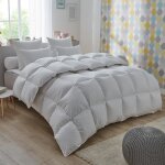 Dodo - couette 50% duvet de canard proneem - temp�r�e - 220 x 240 cm