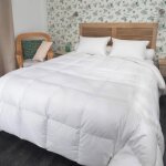 Couette mi - saison oie 260x240 cm 90% duvet neuf - castex couettes naturelles - chaude - coton bio