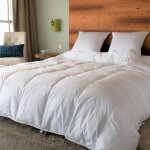 Couette - castex couettes naturelles - 4 saisons - duvet de canard - coton bio - blanc Couette - castex couettes naturelles - 4 saisons - duvet de canard - coton bio - blanc