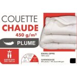 Couette - mortreux - 240x260 cm - 10% duvet - 90% plumettes - chaude Couette - mortreux - 240x260 cm - 10% duvet - 90% plumettes - chaude