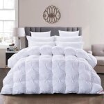Couette en plumes doie hombys - couette dhiver - couette naturelle - blanc - 220 x 240 cm - chaude Couette en plumes doie hombys - couette dhiver - couette naturelle - blanc - 220 x 240 cm - chaude