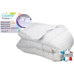 Couette - decoratie - protect plus - chaude - 220x240 cm - 450 gr / m2