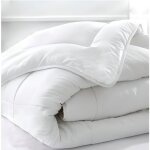 Couette temp�r�e soie - 260 x 240 cm - 300g / m� - made in france - blanc