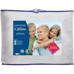 Couette sp�ciale c�line - temp�r�e - 140 x 200 cm - 250 g / m� - blanc