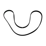 Courroie 1161j5 - lave - linge - brandt thomson vedette - longueur 1161 mm - compatible avec plusieurs ... Courroie 1161j5 - lave - linge - brandt thomson vedette - longueur 1161 mm - compatible avec plusieurs ...