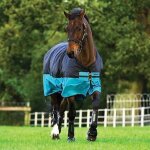Couverture dextérieur pour cheval horseware mio turnout 200g - black / turquoise - 60 / 130 cm Couverture dextérieur pour cheval horseware mio turnout 200g - black / turquoise - 60 / 130 cm