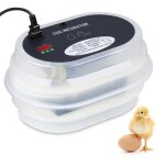 Couveuse automatique de 12 ?ufs de poules ou canards à affichage digital de la température mini incubateur ... Couveuse automatique de 12 ?ufs de poules ou canards à affichage digital de la température mini incubateur ...