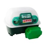 Couveuse automatique 12 ?ufs river Couveuse automatique 12 ?ufs river