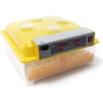 Wiltec couveuse automatique ? 160 w ? pour 48 oeufs ? avec 4 fenêtres Wiltec couveuse automatique ? 160 w ? pour 48 oeufs ? avec 4 fenêtres