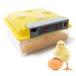 Couveuse automatique 48 oeufs appareil couver incubateur 4 fenetres surveillance