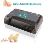 Couveuse incubateur automatique 12 oeufs pour volaille intelligent numérique - contrôle de la température ... Couveuse incubateur automatique 12 oeufs pour volaille intelligent numérique - contrôle de la température ...