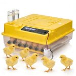 Couveuse oeuf automatique 24 - 36 oeufs - retournement auto contr�le temp�rature - capacit� r�glable
