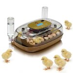 Couveuse oeuf automatique 24 oeufs - retournement auto contr�le temp�rature - polyvalente maison / ferme ...