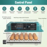 Couveuse oeuf automatique 36 ?ufs incubateur retournement & temp�rature norm� avec hydratation de lit ...