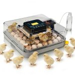 Couveuse oeuf automatique 48 oeufs - retournement auto contr�le temp�rature & affichage humidit� - grand ...