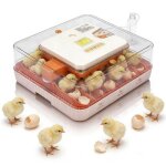 Couveuse oeuf automatique 56 oeufs - retournement auto contr�le temp�rature & affichage humidit� - maxi ...