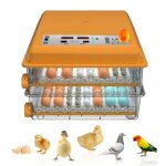 Couveuse oeuf automatique avec contr�le de temp�rature retournement automatique pour 120 oeufs couveuse ...