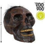 Crane t�te de mort vaudou