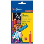 Crayon de couleur gros module assorti - etui de 12