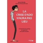 La crise dado naura pas lieu - hollender jessica - livres - sant vie de famille