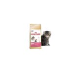 Croquettes pour chaton persan - royal canin - kitten persian 32 - aliment pour chatons persan de 4 à ... Croquettes pour chaton persan - royal canin - kitten persian 32 - aliment pour chatons persan de 4 à ...
