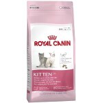 Croquettes pour chatons - royal canin - kitten 36 - digestion sensible - sac 4 kg