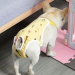 Culotte hygienique - couche - incontinence - protection menstruelle - chaleurs dog pants menstruation ...