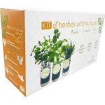Cultivea ? kit pr�t � pousser complet d?herbes aromatiques - cultivez votre menthe coriandre et thym ...