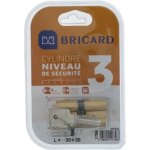 Cylindre bricard medial 1756 30 + 30 mm double entrée laiton jaune niveau de sécurité 3 Cylindre bricard medial 1756 30 + 30 mm double entrée laiton jaune niveau de sécurité 3