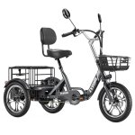 Cysum t1 pro tricycle �lectrique - moteur 250w - batterie 48v22ah - pneu16x23 - vitesse max 25km / h ...