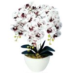 Fleurs artificielles - damich - orchide damich spotted white - 3 branches - blanc spott