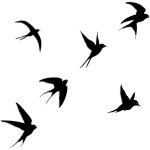 D�coration murale en m�tal - suteo - 6 pi�ces - oiseaux noirs - 15x10 cm - multi - orientation - nature ...