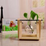 Decoration de table - centre de table terrarium creative hydroponic plant transparent vase wooden frame ... Decoration de table - centre de table terrarium creative hydroponic plant transparent vase wooden frame ...